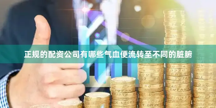 正规的配资公司有哪些气血便流转至不同的脏腑